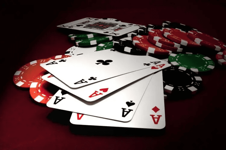 dandelionpg - Jogos Bet Login