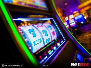 dandelionpg - Jogos Online no Cassino