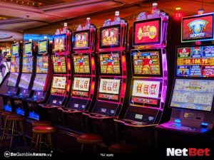 dandelionpg - Plataforma Bet Fácil